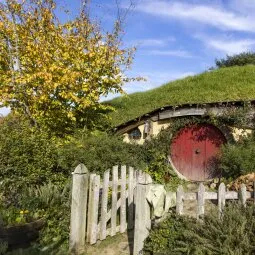 Hobbiton Movie Set