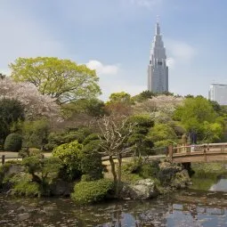 Shinjuku Gyoen National Garden