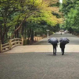 Meiji Shrine