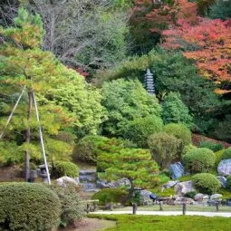 Shoren-in Temple