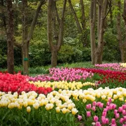 Kyoto Botanical Garden