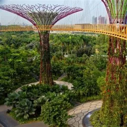 Gardens by the Bay