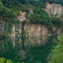 Bukit Timah Nature Reserve