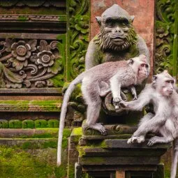 Sacred Monkey Forest Sanctuary